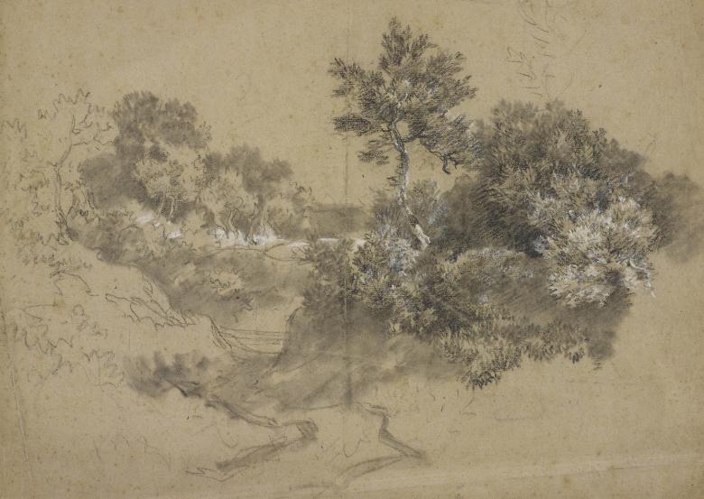 Gainsborough, bushes