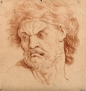 Charles Le Brun, An angry man