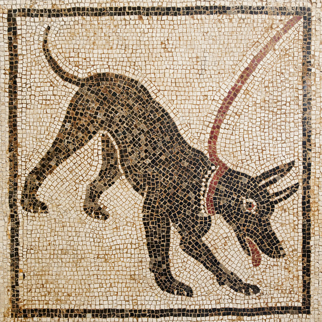 Beware of the dog, Roman mosaic, Pompeii