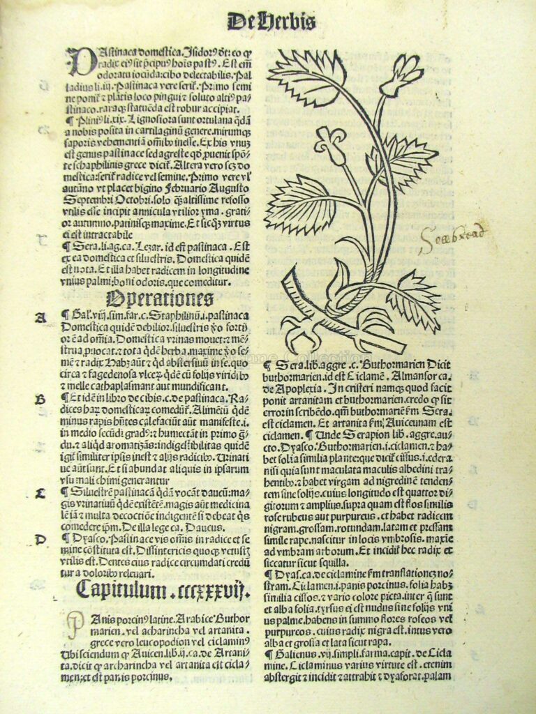 Hortus Sanitatis, 1499