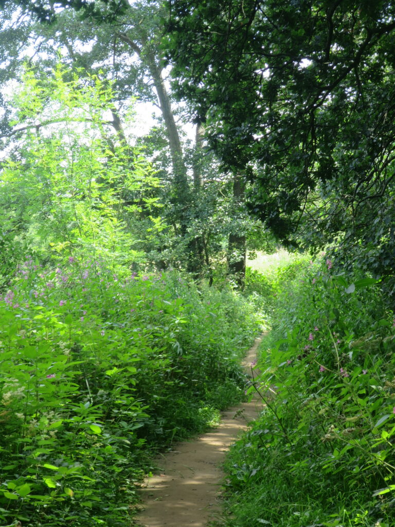 Near Kirkham Abbey, Yorkshire. Photo: Malcolm Wren