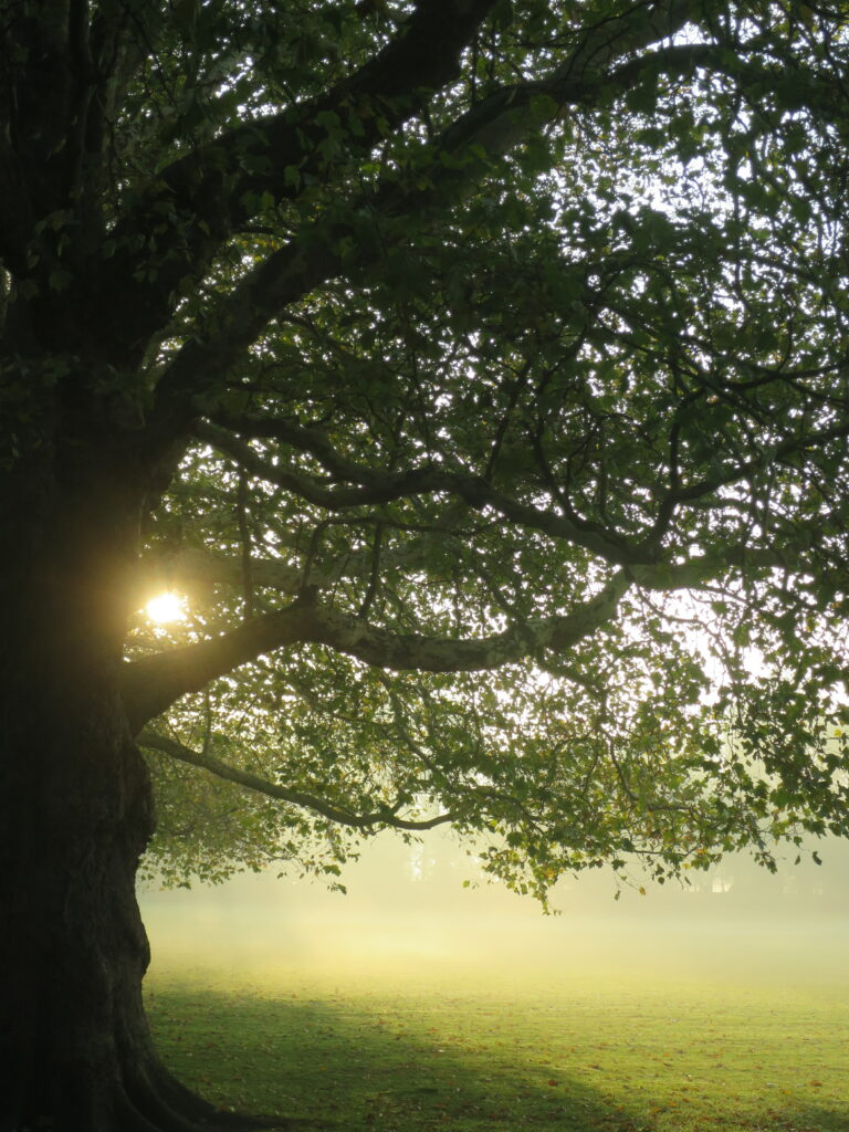 Cambridge, Jesus Green. Photo: Malcolm Wren