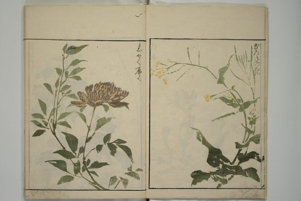 Kuwagata Keisai, How to Draw Plants and Flowers Simply, 1813