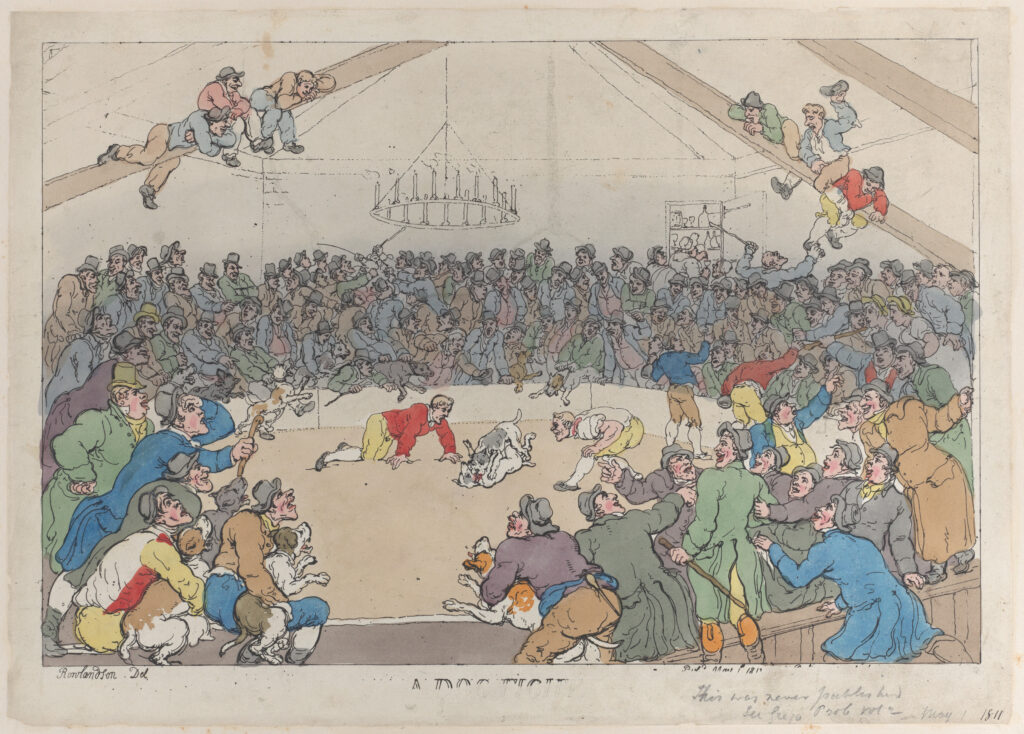 Rowlandon, A dog fight, 1811