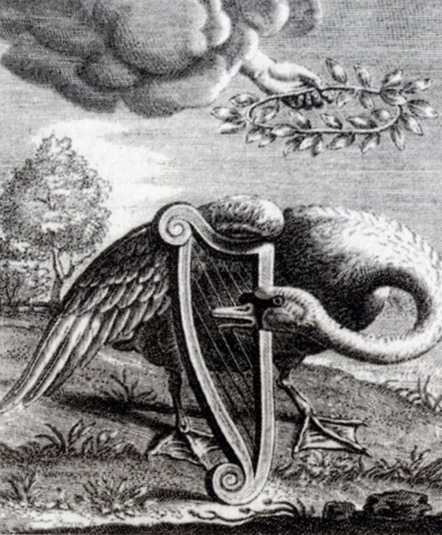Willem de Swaen, Singing Swan, 1655