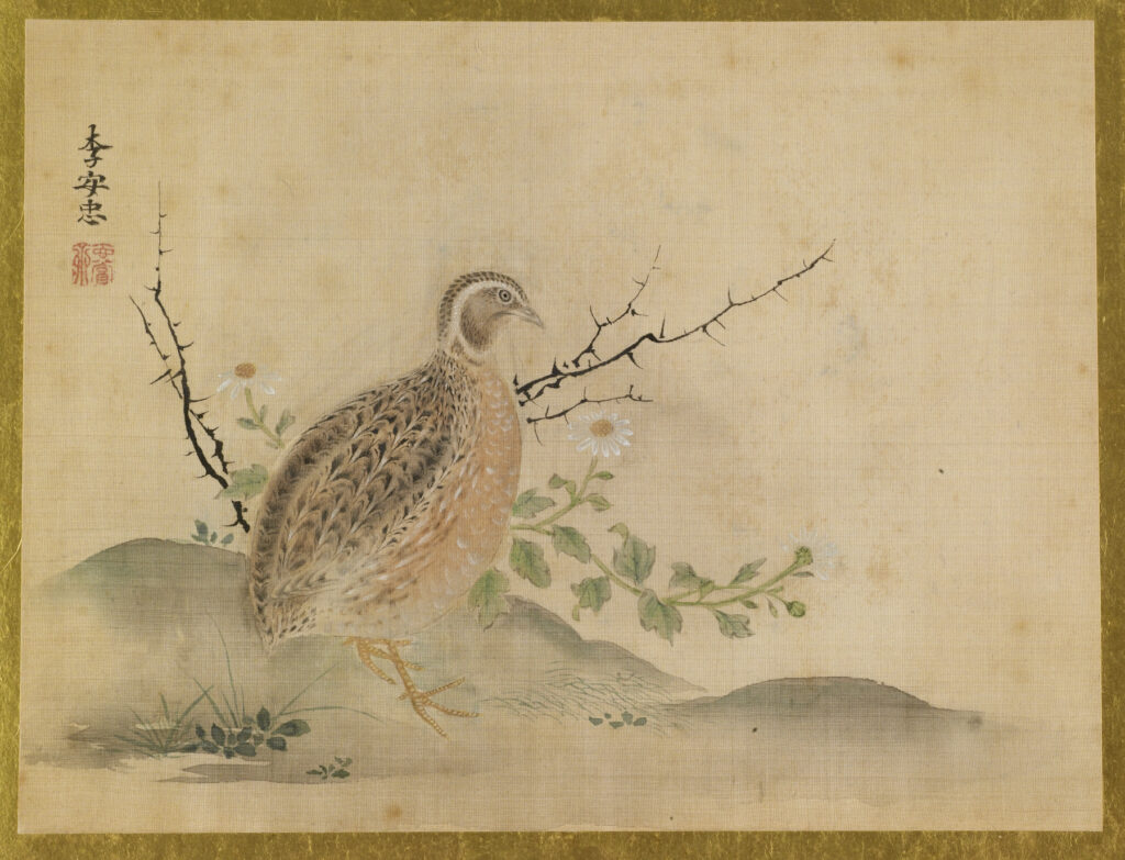 Isen'in Hoin Eishin, Quail, 1816-28